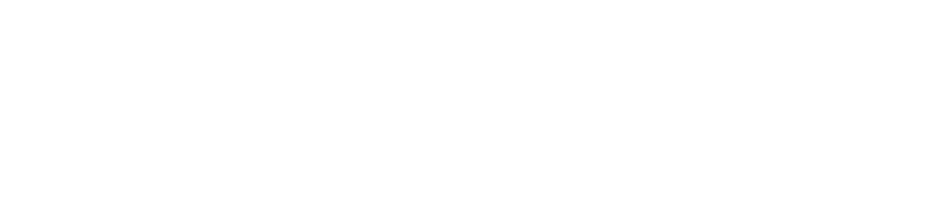 Next Era Physical Therapy logo